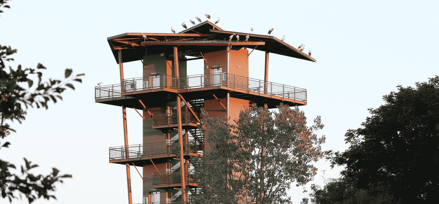 img_Parc des oiseaux