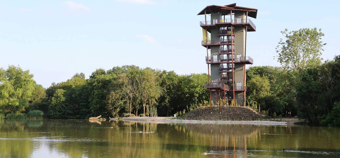Le chantier de la tour du Parc des Oiseaux